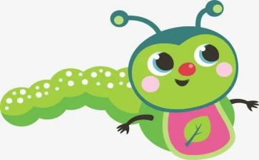 昆虫总动员观后感8篇