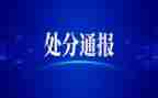撤销处分申请书200精选8篇