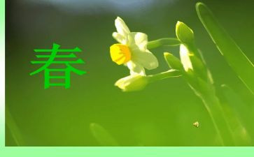 春天作文300高中作文8篇