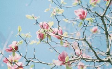 青春期心理健康心得8篇