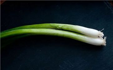 葱的调查报告最新8篇