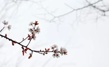 《匆匆》的读后感优秀5篇