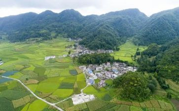 村卫生室年度工作计划范文5篇