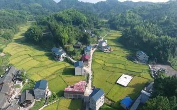 2023年村官工作报告模板6篇