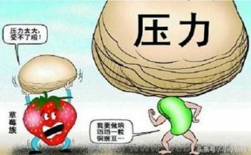 挫折作文范文精选7篇