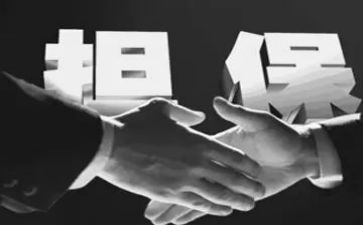 个人担保借款合同6篇
