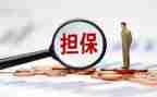 贷款被担保申请书5篇