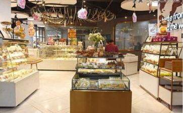 蛋糕店的教案8篇