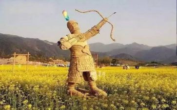 写《稻草人》读后感精选5篇