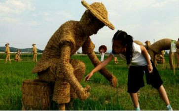 写稻草人读后感的作文8篇