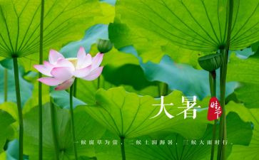 24节气大暑教案7篇