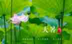 24节气大暑教案7篇