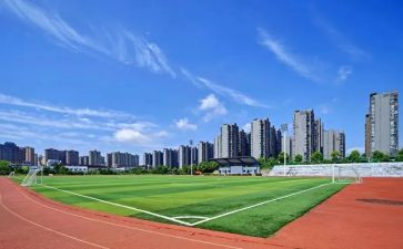 大学调查报告推荐5篇