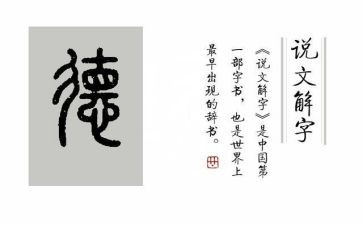 师德培训的心得体会优秀8篇