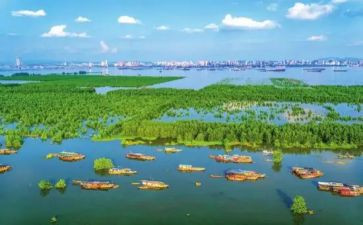 地区代理合同8篇