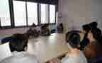顶岗心得体会6篇
