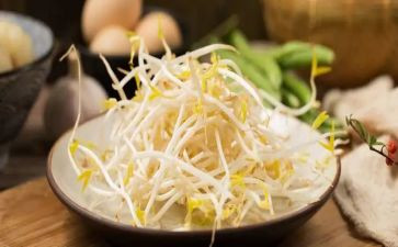 豆芽作文8篇