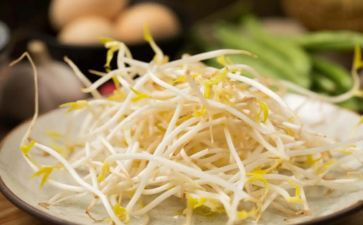 豆芽作文优秀5篇