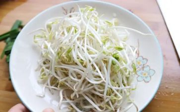 豆芽作文优质7篇