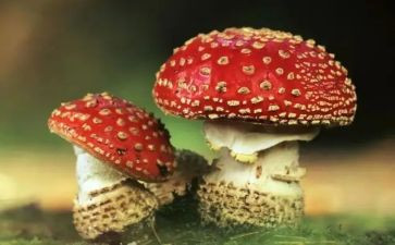 写禁毒的心得体会7篇