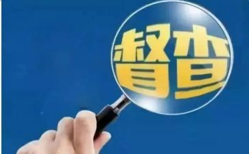疫情督查工作总结5篇