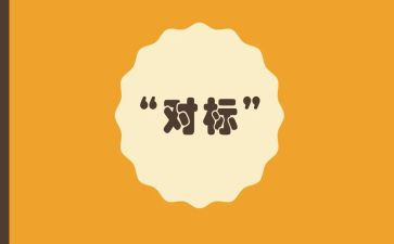 个人对标心得体会5篇