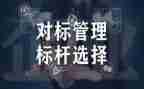 财务对标工作报告模板7篇