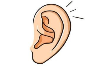 耳朵读后感精选8篇