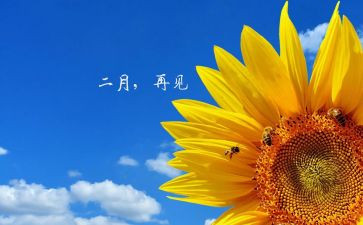 十二月幼儿园工作总结8篇