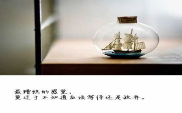 忆改革开放心得体会8篇