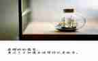 忆改革开放心得体会8篇