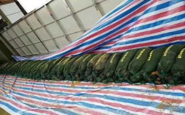 防汛活动方案6篇