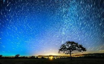 繁星的读后感400字8篇