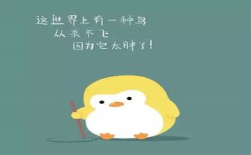 我减肥的作文5篇