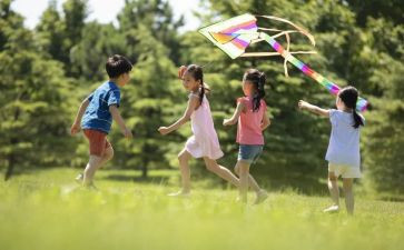 做风筝的收获与心得6篇