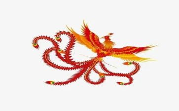 爬凤凰山作文7篇