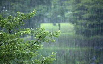风雨桥作文600字优秀6篇
