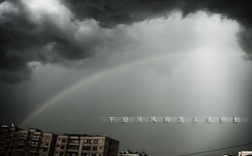 风雨中我作文600作文通用5篇