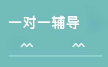 辅导老师工作总结范文6篇