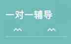 辅导老师工作总结范文6篇