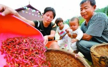 扶贫扶贫心得体会8篇