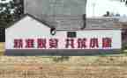 扶贫论心得体会5篇