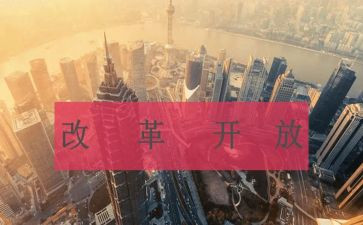 改革的工作报告7篇
