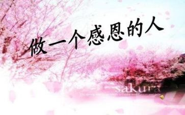 做感恩的人心得体会作文7篇