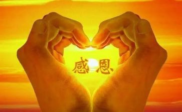 感恩佛的心得体会精选5篇