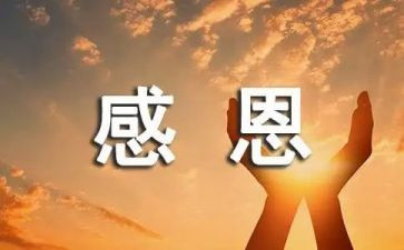 感恩的心心得体会模板6篇