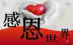 作文感恩的心500字5篇