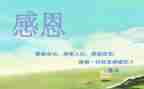 作文感恩的心400字最新6篇