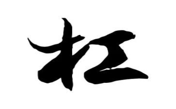初中物理杠杆教案8篇