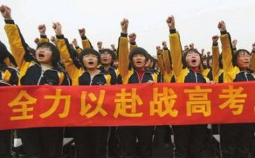 高考网的心得体会最新7篇